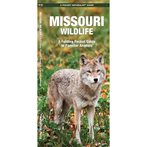 Missouri Wildlife: A Folding Pocket Guide to Familiar Animals