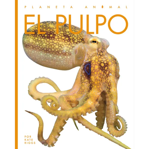 El Pulpo