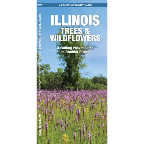 Illinois Trees & Wildflowers: A Folding Pocket Guide to Familiar Plants