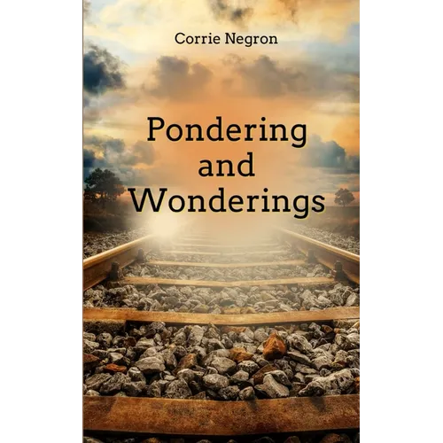 Pondering and Wonderings