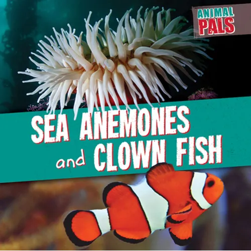 Sea Anemones and Clown Fish