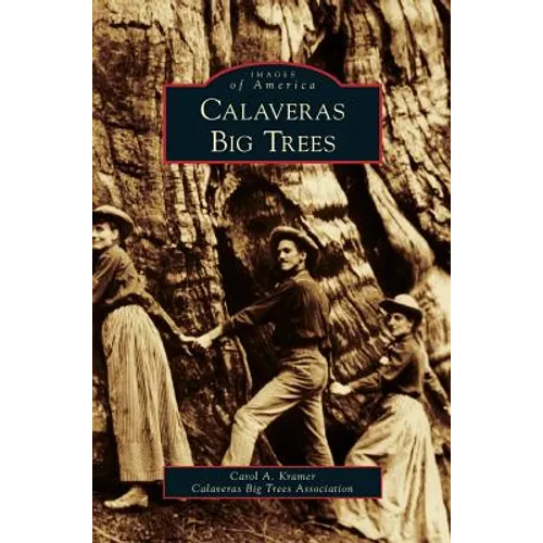 Calaveras Big Trees