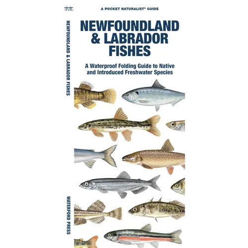 Newfoundland & Labrador Fishes: A Folding Guide to Native and Introduced Freshwater Species
