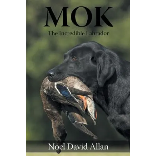 Mok: The Incredible Labrador