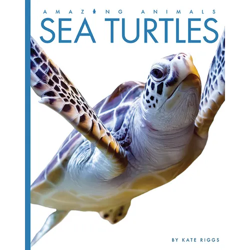 Sea Turtles