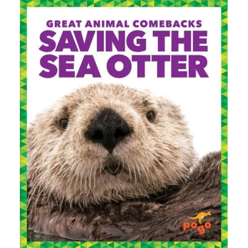 Saving the Sea Otter