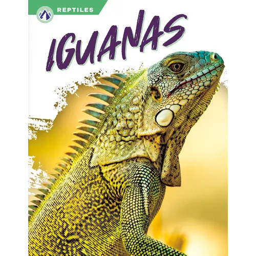 Iguanas