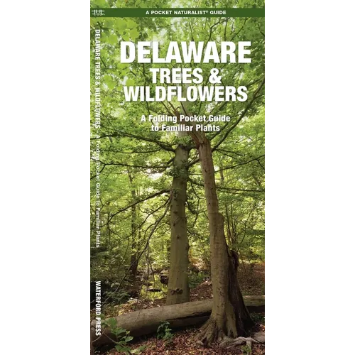 Delaware Trees & Wildflowers, 2nd Ed: A Folding Pocket Guide to Familiar Plants