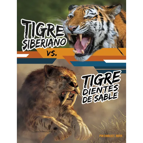 Tigre Siberiano vs. Tigre Dientes de Sable (Siberian Tiger vs. Saber-Tooth Cat)