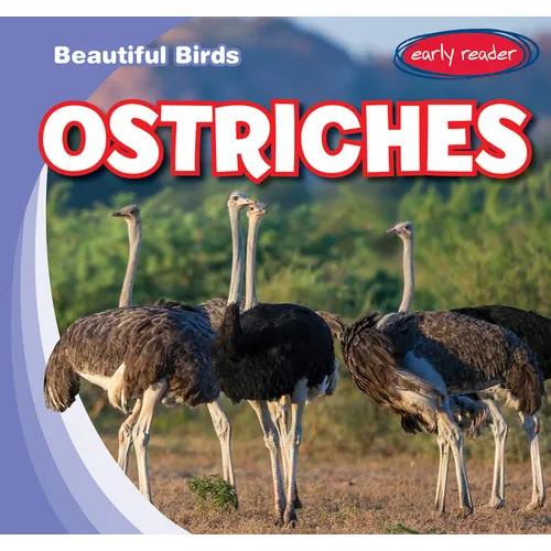 Ostriches