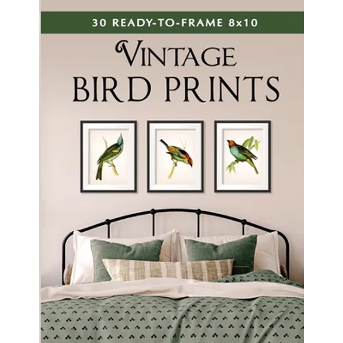 30 Ready-to-Frame 8x10 Vintage Bird Prints