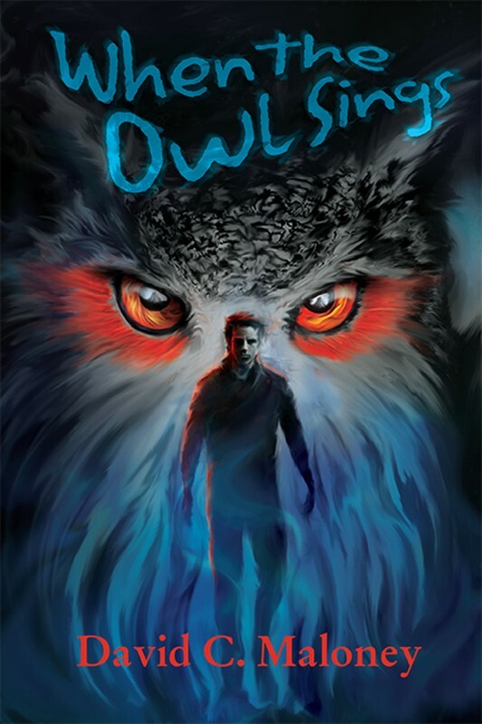 When the Owl Sings Book