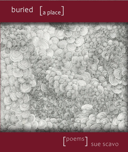 Buried [A Place] Book