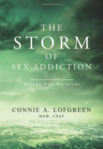 The Storm of Sex Addiction Book