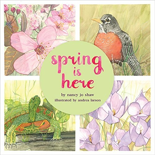 Spring is Here Book
