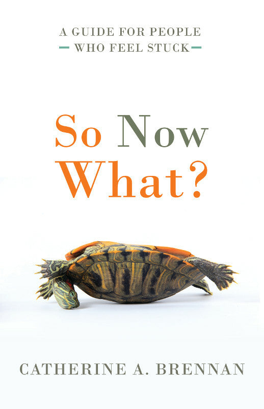 So Now What?: A Guide for People Who Feel Stuck Book