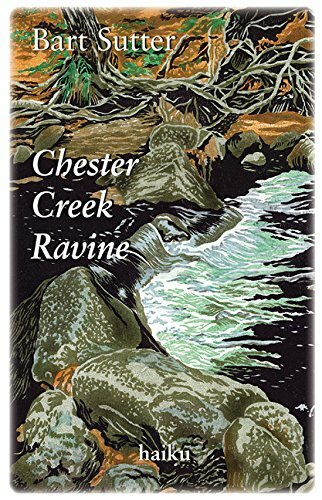 Chester Creek Ravine Book