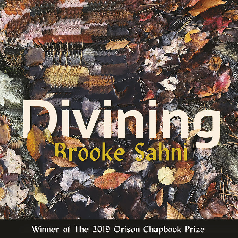 Divining Book