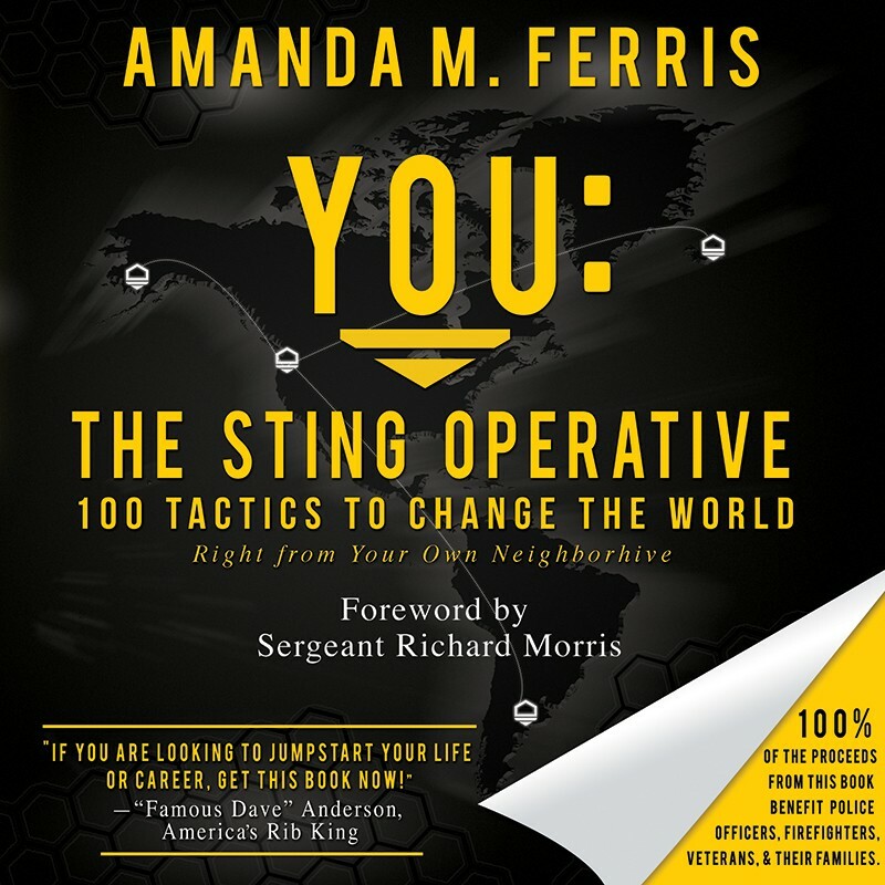 YOU: The Sting Operative Book