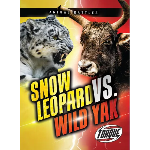 Snow Leopard vs. Wild Yak