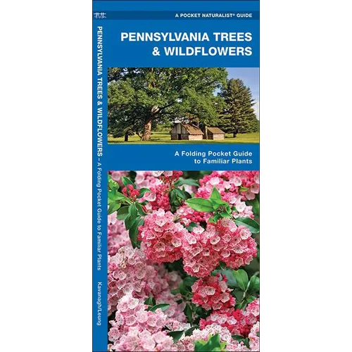 Pennsylvania Trees & Wildflowers: A Folding Pocket Guide to Familiar Plants