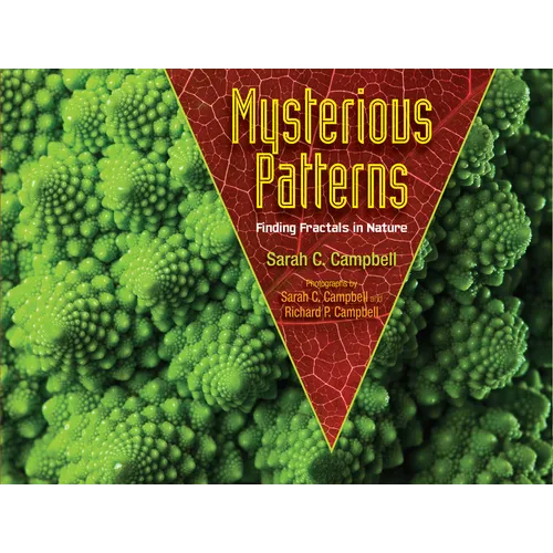 Mysterious Patterns: Finding Fractals in Nature