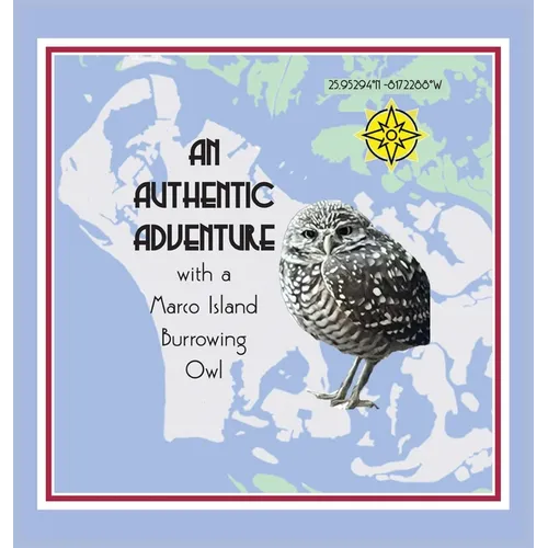 An Authentic Adventure with a Marco Island Burrowing Owl