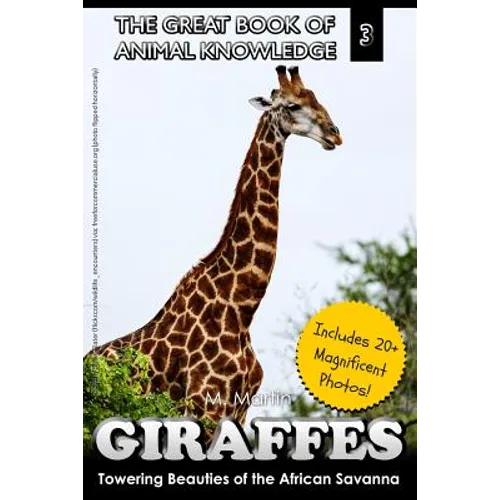 Giraffes: Towering Beauty of the African Savanna