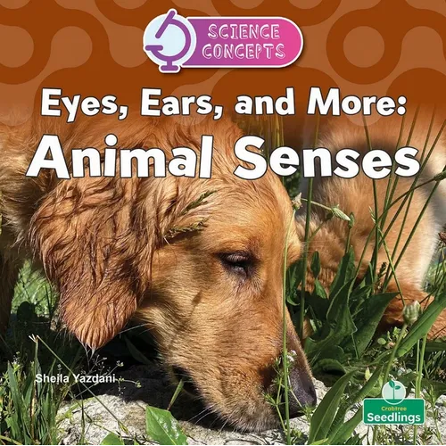 Eyes, Ears, and More: Animal Senses