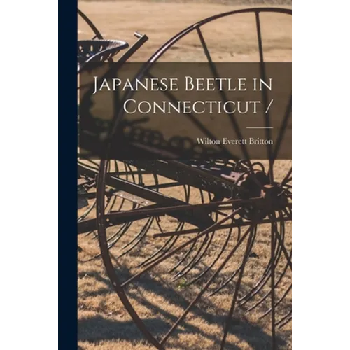 Japanese Beetle in Connecticut /