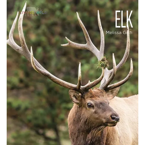 Elk