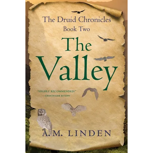 The Valley: The Druid Chronicles, Book Two