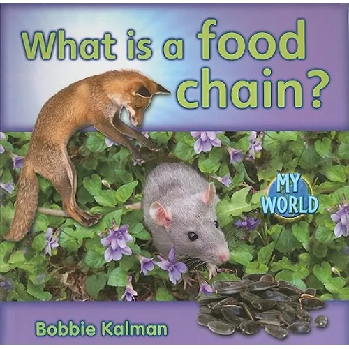 What Is a Food Chain?