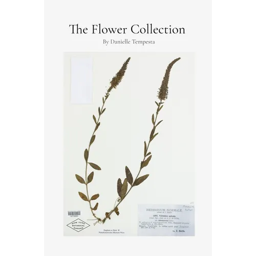 The Flower Collection