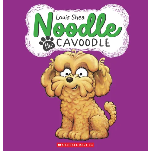 Noodle the Cavoodle