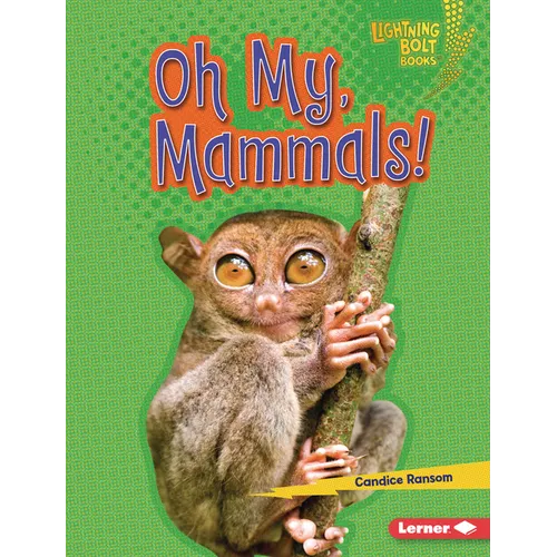 Oh My, Mammals!