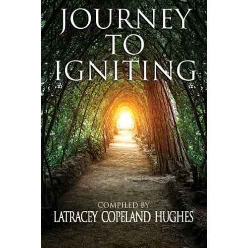 Journey to Igniting