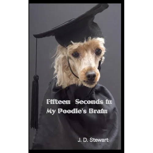 Fifteen seconds in My Poodle's Brain