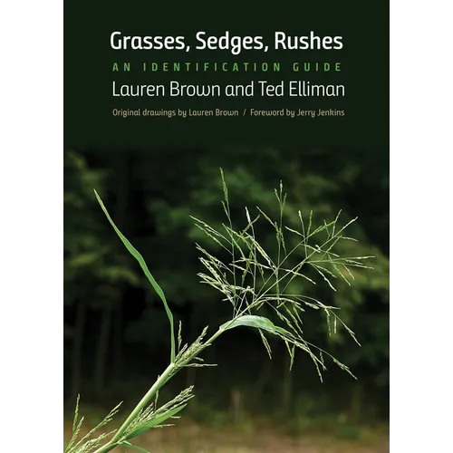 Grasses, Sedges, Rushes: An Identification Guide