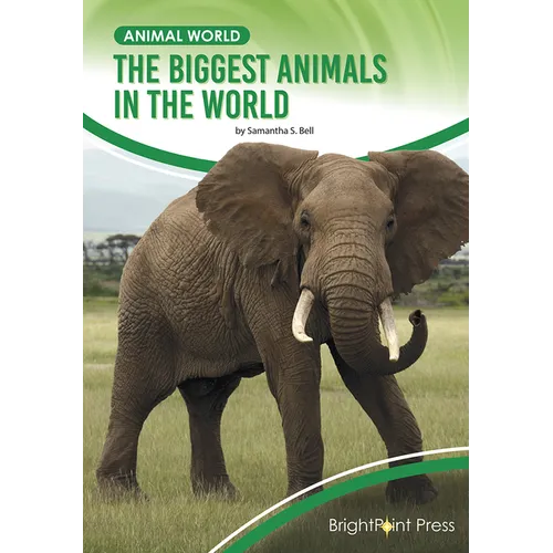 The Biggest Animals in the World