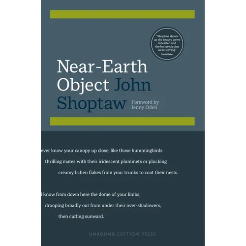 Near-Earth Object