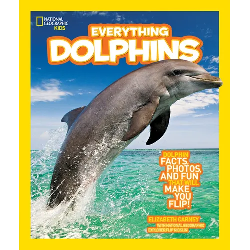 Everything Dolphins