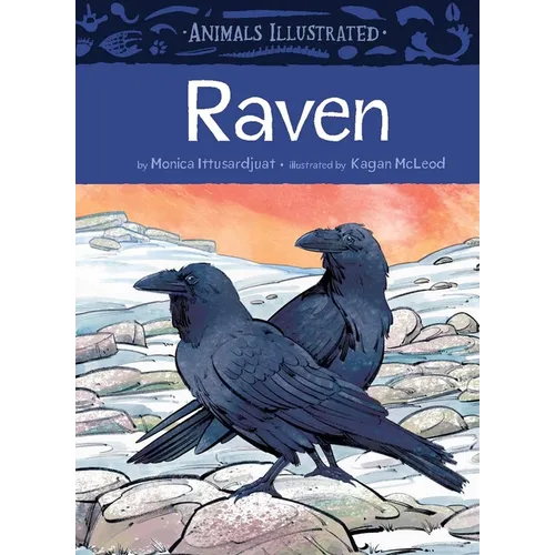 Animals Illustrated: Raven