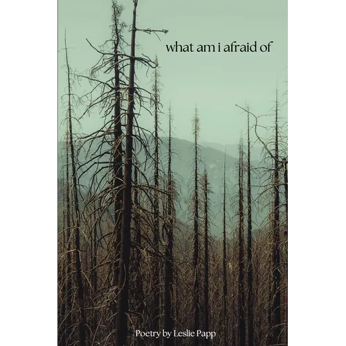 what am i afraid of