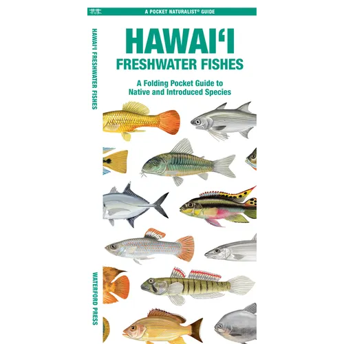 Hawai'i Freshwater Fishes: A Folding Pocket Guide to Native and Introduced Species