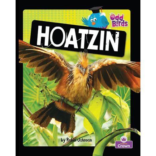 Hoatzin