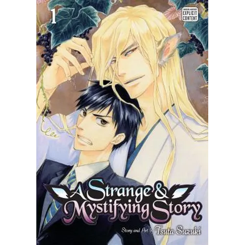 A Strange & Mystifying Story, Vol. 1