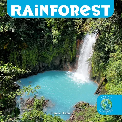 Rainforest