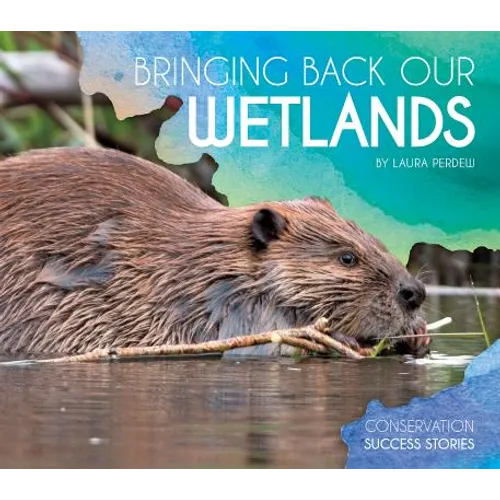 Bringing Back Our Wetlands