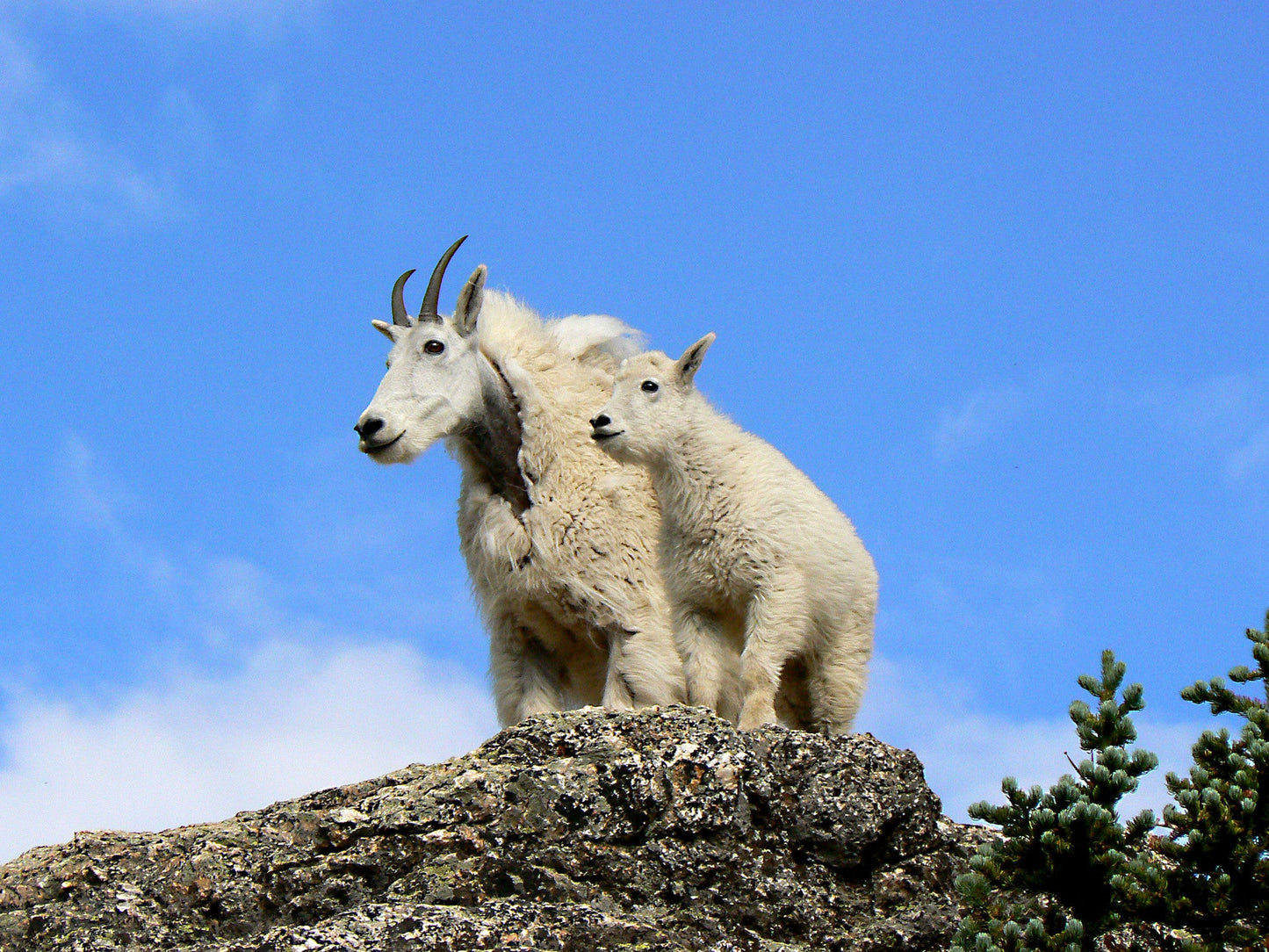 Capture My Colorado: Vail Book